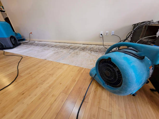 Professional Flood Damage Cleanup technician working in Pottstown, PA